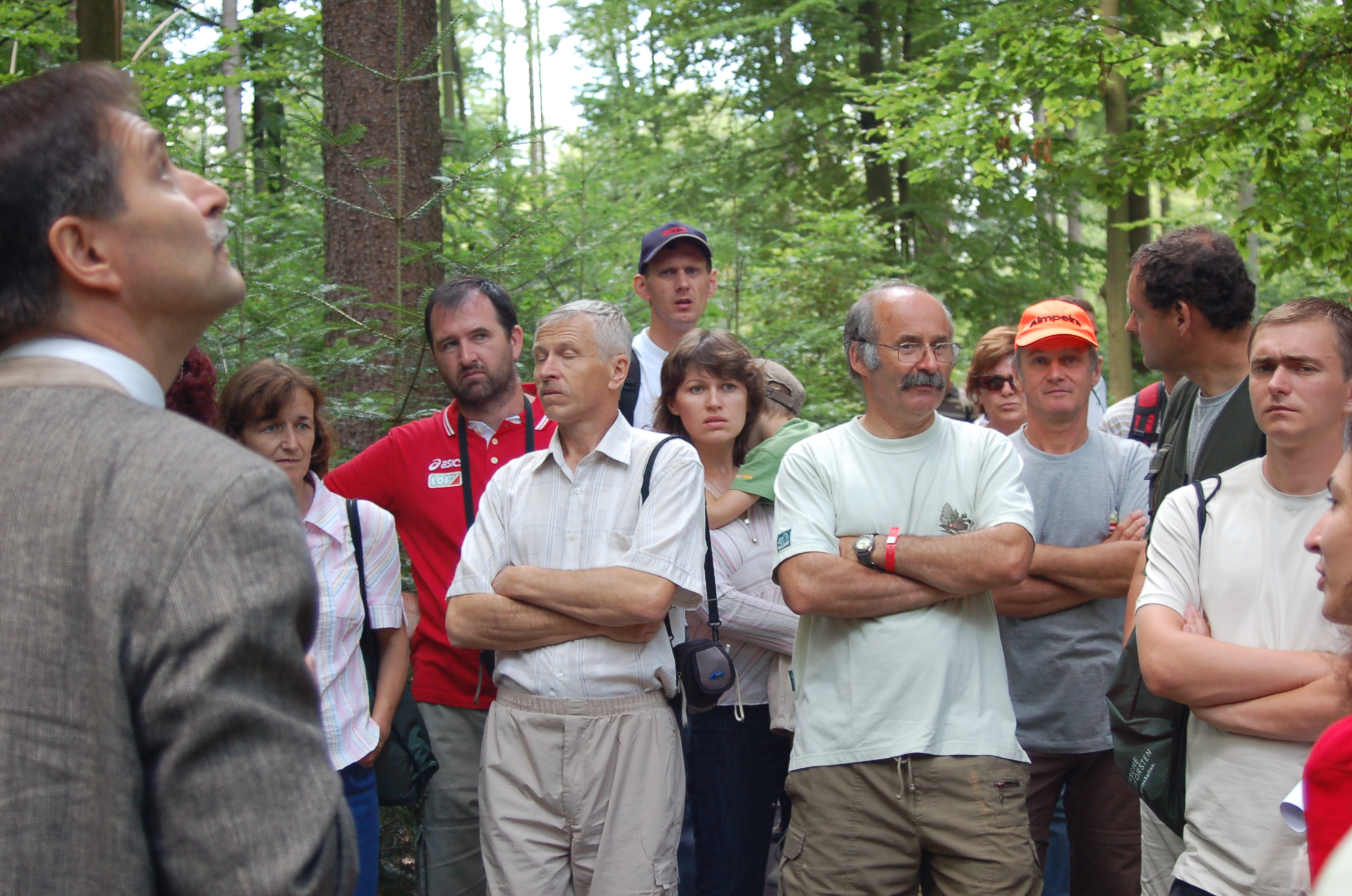 Excursion in the Forest